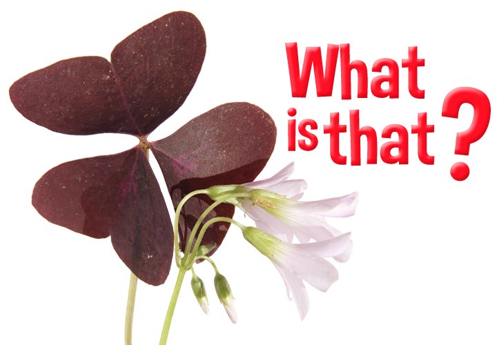 Make it a #MondayFunday. Take a guess!