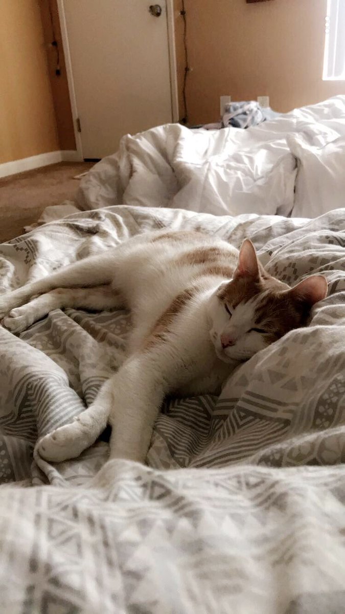 SamiJoe35's tweet photo. #findbean2k18 https://t.co/RuVFByDWlV