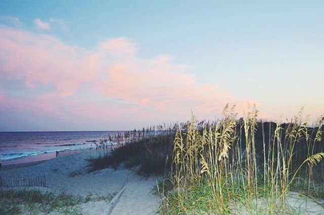 OuterBeaches's tweet photo. What is your single most favorite thing about Hatteras Island? ⠀
Last week's #OBRMemoryMonday winner: Lilley Kleintop⠀ https://t.co/EdQup5GXrt https://t.co/jZHtjAjX88