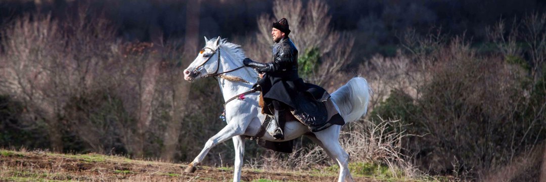 #BeyimizinYolunda dıgıdık dıgıdık <a href="/Ertugrl_Bey_IYI/">.</a> #DirilisIYIEkibi #DirilişTuranGrupları 🇹🇷🇹🇷🇹🇷🇹🇷☪️☪️ giiggigighgigig