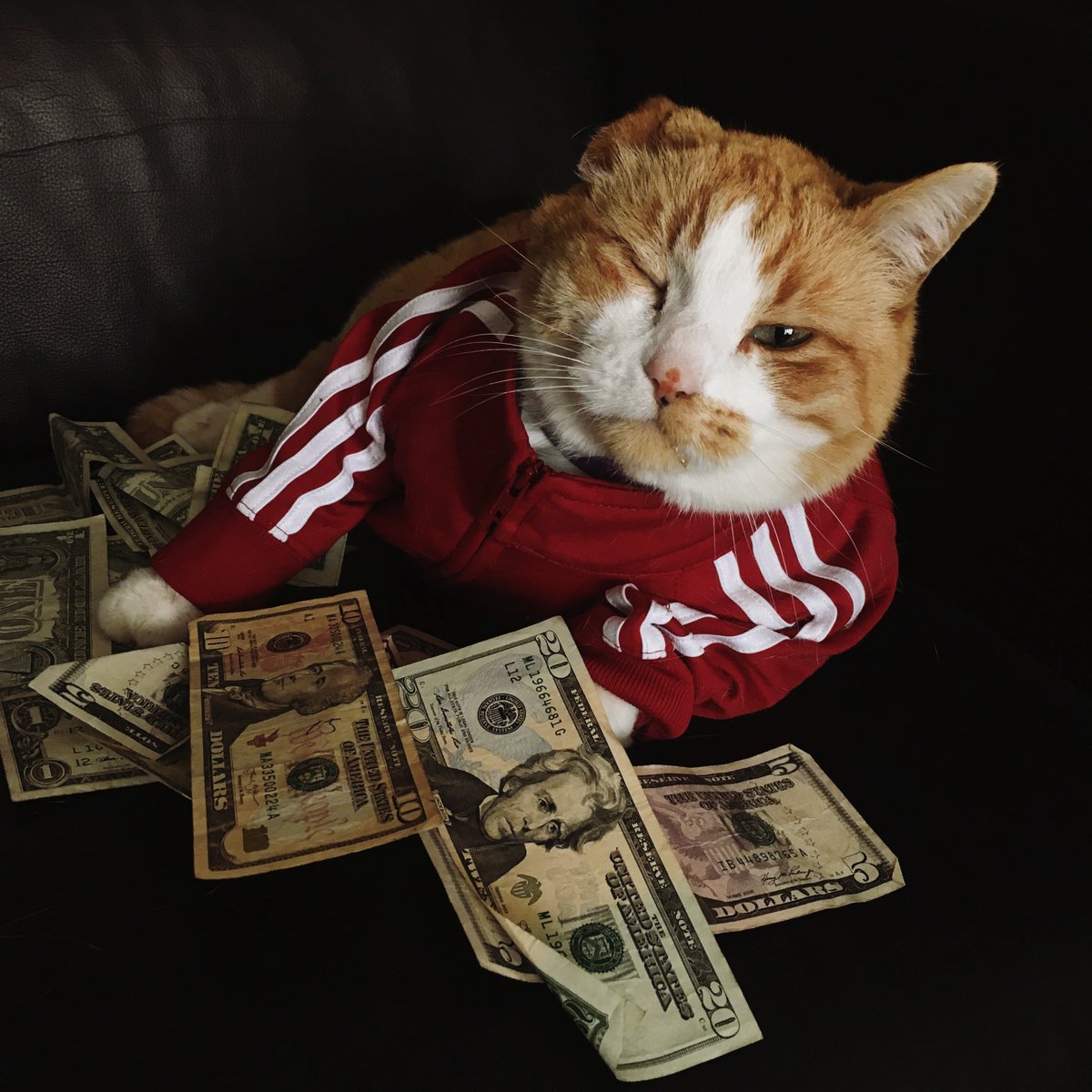 CatsAndMoney's tweet photo. over here hustlin https://t.co/fA7rAyxmiC
