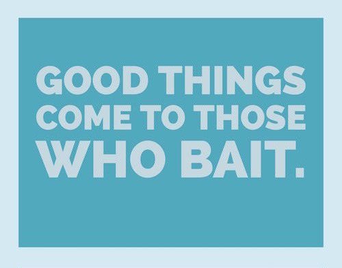 kingfisherfloat's tweet photo. #MondayMotivation  🎣 https://t.co/atWxTi0nHP