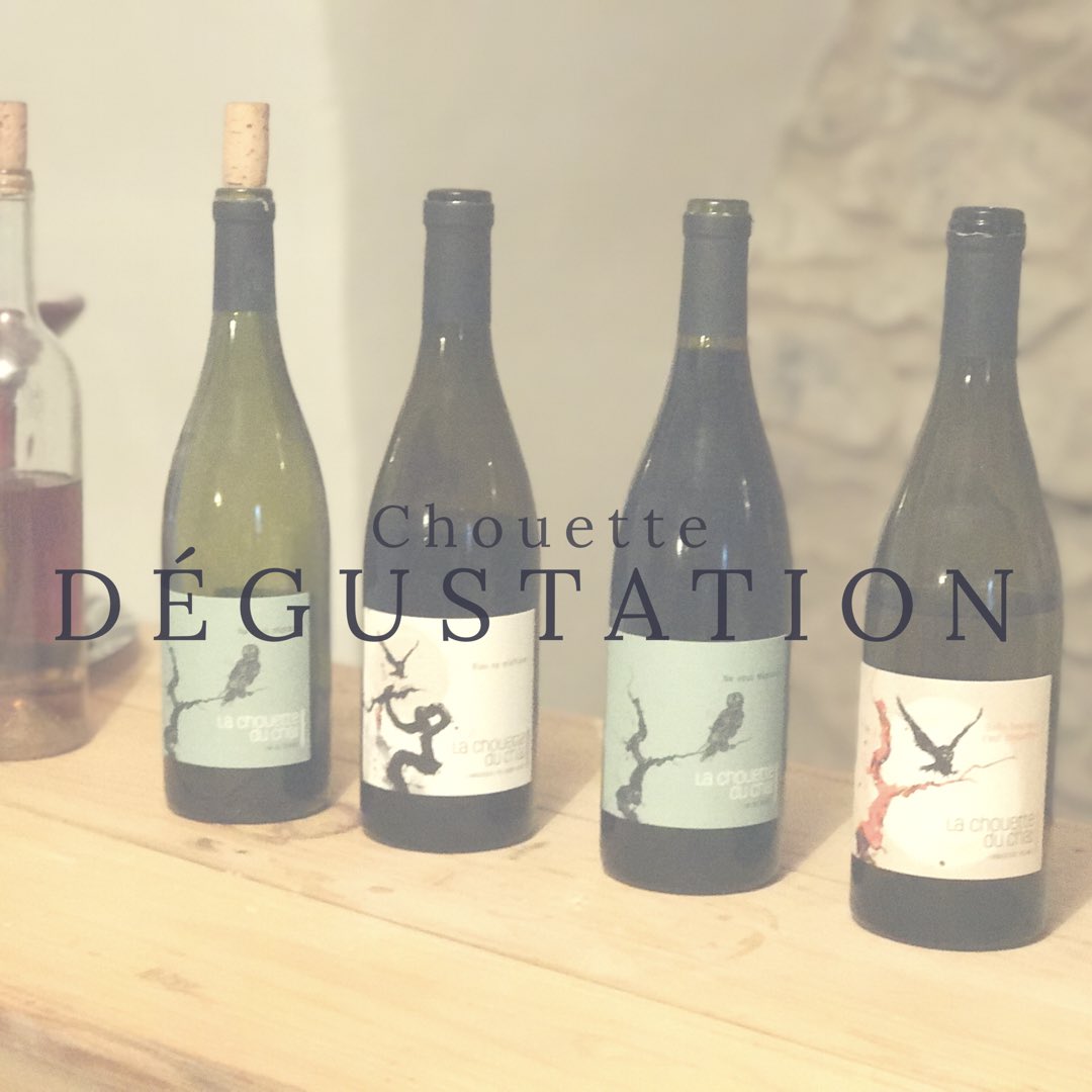 🍷#lachouetteduchai Domaine 100% Pic Saint Loup // visite des caves #wildwine #degustationdevin #produitregional #wildsummerfestival <a href="/CastelnauleLez/">Castelnau-le-Lez</a>