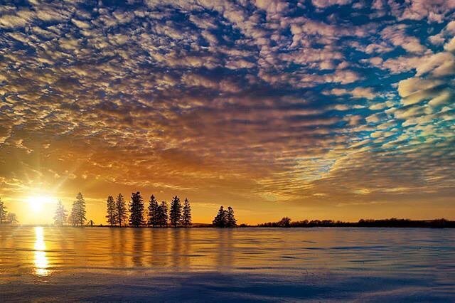 CBCNB's tweet photo. Sunsets that look very much like paintings. π¨ Thanks @catherinehamiltonphotography for the photo!
.
.
.
#mycbcnb #sunset #newbrunswick #sunsetsofinstagram #viewsnb #explorenb #warmsky #skyporn #clouds #eastcoast #horizon https://t.co/A9g5S7fhON https://t.co/ncUasKVV1A