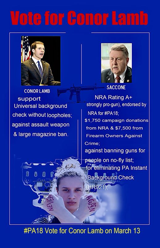 AsianDems's tweet photo. #ConorLamb supports the universal background check on #guncontrol &amp; keep schools Safe. #Saccone got NRA endorsement &amp; donations. #PA18 Vote for your children's safety at schools on Mar 13 #GunReformNow #USAoverNRA #NeverAgain https://t.co/NxcLHvXobx