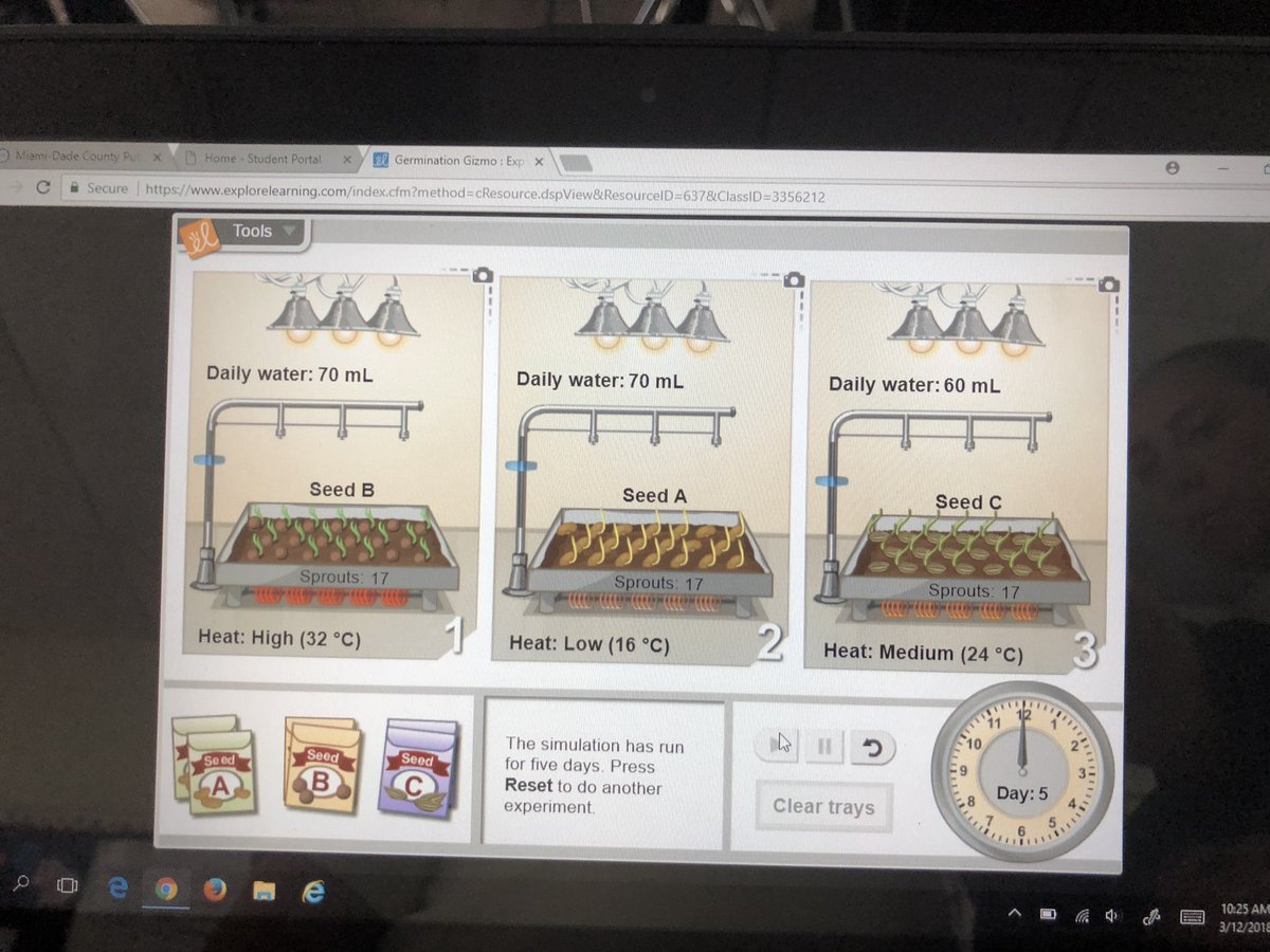 r_smith_live's tweet photo. Germination #Gizmos #ScienceRocks #PlantPower #broadmoorElementary #sciencechallange #Theyaren’tplaying https://t.co/ZdGzMyh9K9