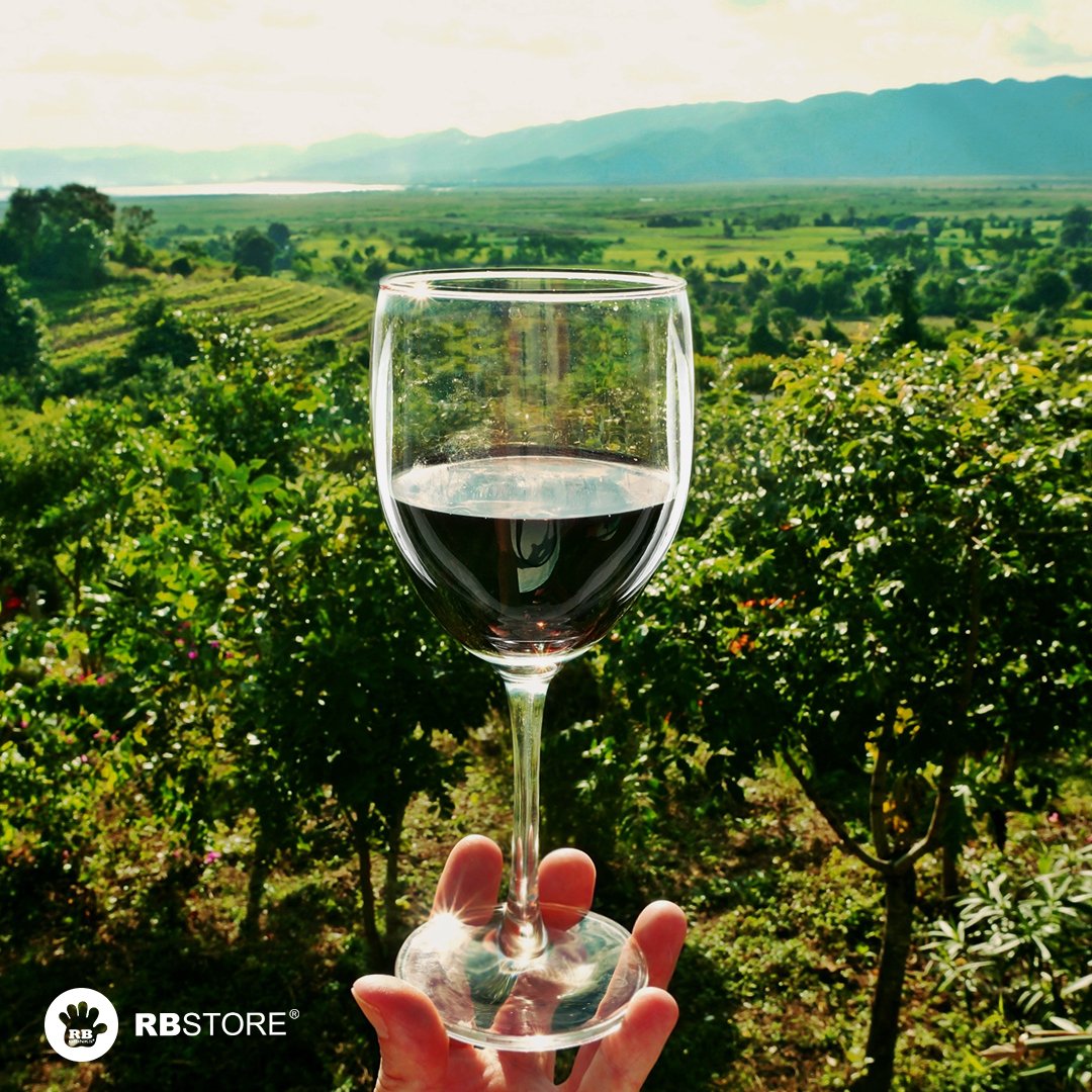 Nos verres à vin en plastique incassable seront parfaits pour servir vos meilleurs vins en toute sérénité. rbstore.fr