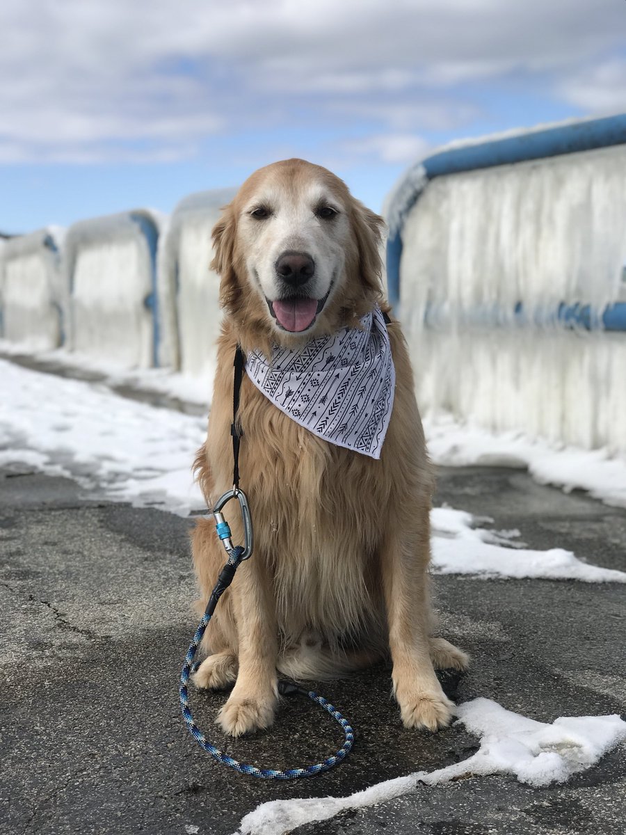 CharlieEvieDA's tweet photo. Pure Michigan ❄️ https://t.co/UGBt8oSaFP