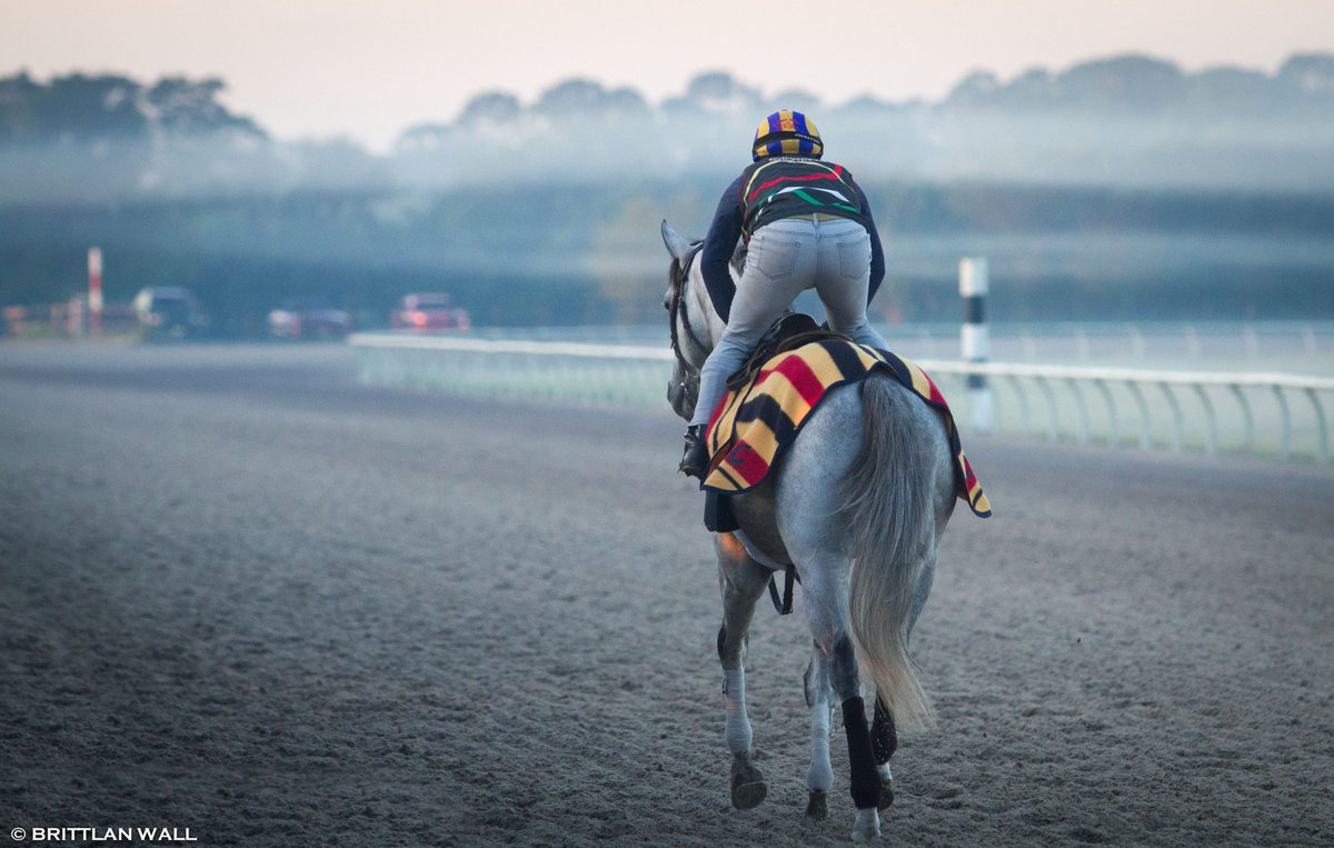 clementstable's tweet photo. Disco Partner dancing off into the morning fog @PaysonPark https://t.co/LeNYGBCUvb