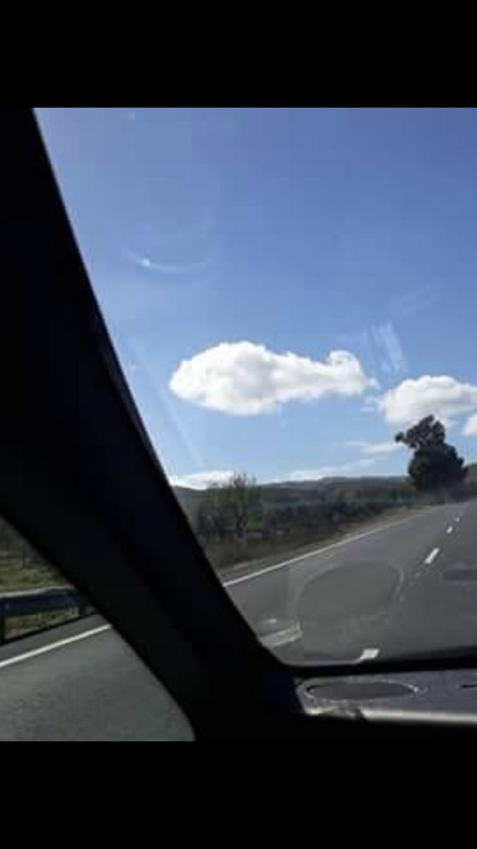 Hasta el cielo llora tu perdida...
