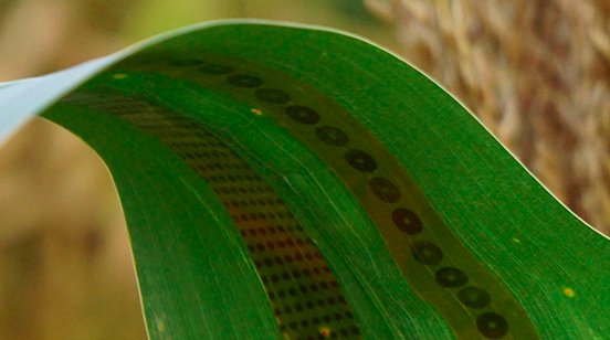 FertilizerNews tweet picture