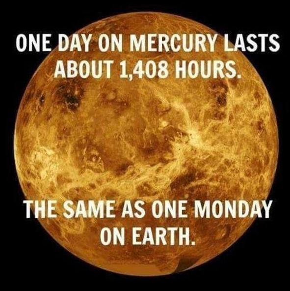 SmoochDating's tweet photo. True story. #MondayMotivation https://t.co/YVLxMgeeiq