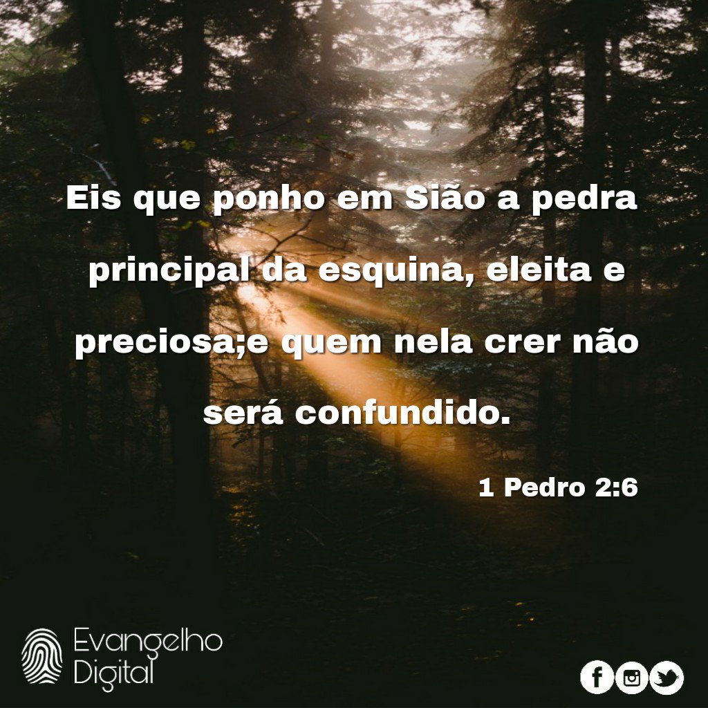EvangDigi's tweet photo. Eis que ponho em Sião a pedra principal da esquina, eleita e preciosa;e quem nela crer não será confundido.
1 Pedro 2:6
#evangelhodigital #evangelicos #evangelhoemação #way #cristoredentor #jovemgospel #jesusfreak #graca #gratidao #deus #jesus #jesuschri https://t.co/PGaxcK76qF
