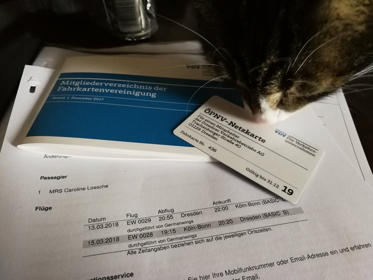 CarolineLsche's tweet photo. Packen fürs #verkehrscamp ... Scheinbar hab ich unerwünschte Hilfe 😊😁😺

#dienstreise #köln #catcontent #öpnv #socialmedia  #binschonganzaufgeregt https://t.co/GoBuMKFYHm