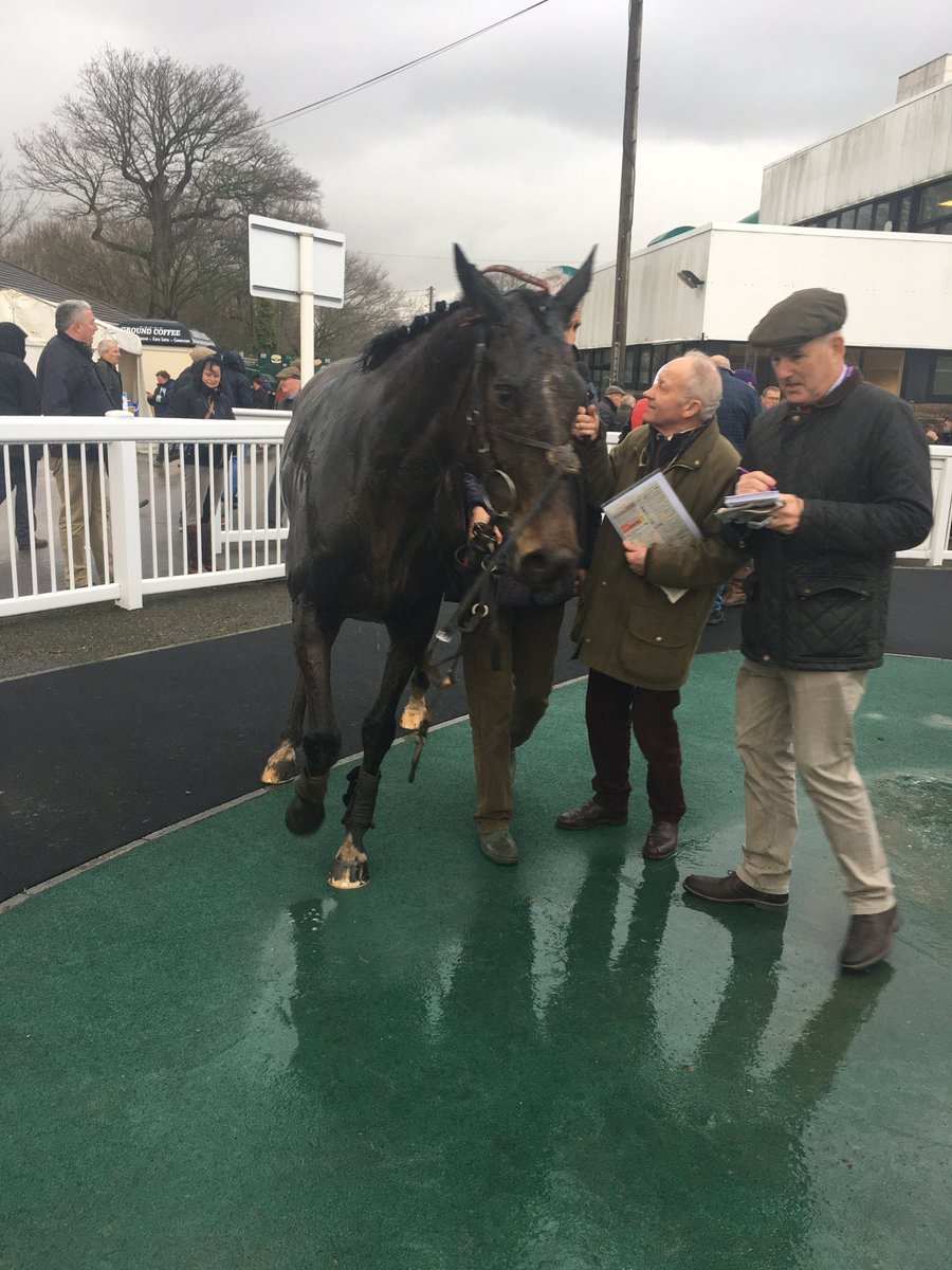 plumptonraces's tweet photo. Winner of the 2nd race, The Peter Earl Memorial Novices’ Handicap Steeple Chase is Duhallow Lad, ridden by @TM_OBrien trained by Alan Jones https://t.co/Ol3mRq7k43