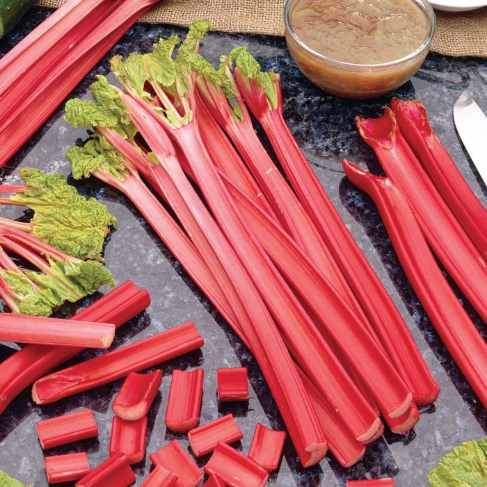 SpinksCompak's tweet image. It's officially the start of #Rhubarb season! Whether it's in a chutney, roast or a pie, Rhubarb can be added to any dish. Feeling peckish? 🍴View some of our favourite Rhubarb recipes here... bit.ly/2p81k6x