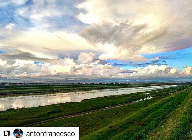 #Repost <a href="/antonfrancesco/">antonfrancesco</a> (<a href="/get_repost/">Repost</a>)
・・・
Camminando lentamente su questi argini inerbiti ascolto il mio respiro, il tempo si blocca, e sono all’istante adulto e bambino, sono io, oltre il tempo, e capisco che unico e solo è il sapore della mia terra sacra.  #nuvole #cielo #…