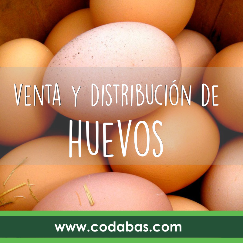 Codabas1's tweet photo. Disfruta en tu mesa huevos de la mas alta calidad y frescura, visita nuestras distribuidoras de huevos. #codabas #huevos #CentraldeAbastos #Bogotá https://t.co/0ZXTV4G6gF