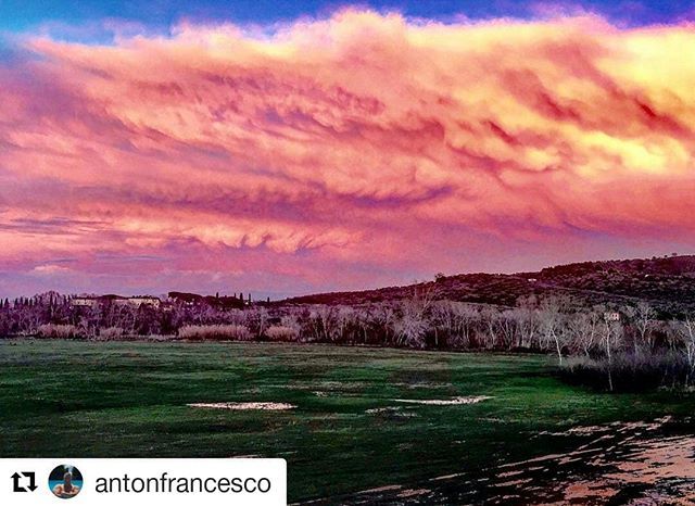 #Repost <a href="/antonfrancesco/">antonfrancesco</a> (<a href="/get_repost/">Repost</a>)
・・・
Serata di rara bellezza. #grosseto #igersgrosseto #clouds #sky #skyporn #nuvole #nuvolerosa #cielo #tramonto #sunset #landscape #landacapephotography