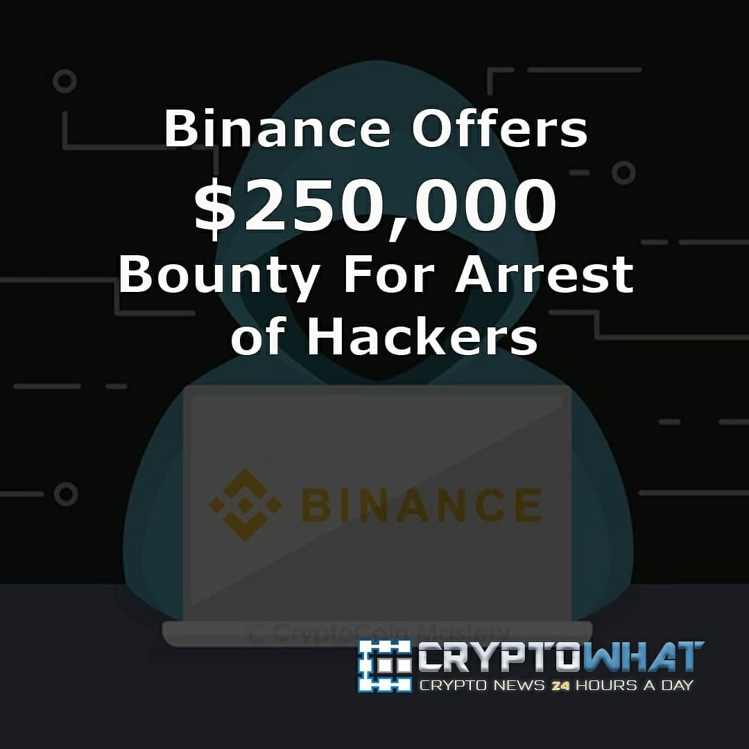 cryptowhat_'s tweet photo. https://t.co/ft3Bf33JyL