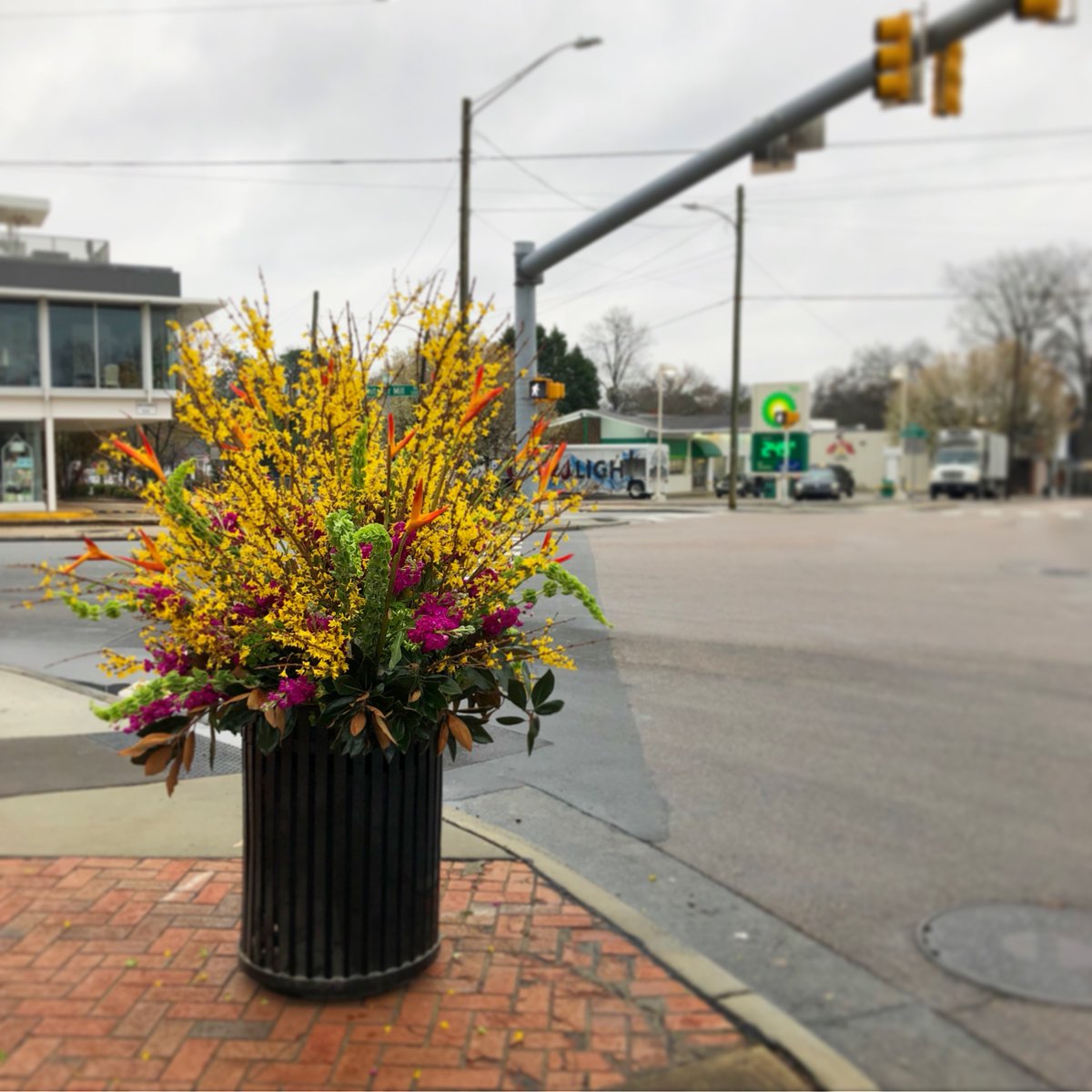 Be sure to check out the new blooms in Five Points! One of a few happy bouquets popping up in Raleigh this week to celebrate #NCMABloom. Thanks to <a href="/ncartmuseum/">North Carolina Museum of Art</a> <a href="/SustainableRAL/">Raleigh Sustainability News</a> <a href="/RaleighGov/">City of Raleigh</a> @wateredgardenflorist <a href="/PNCBank/">PNC Bank</a> <a href="/DowntownRaleigh/">Downtown Raleigh Alliance</a>