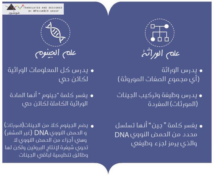 Nada_oa's tweet photo. #الجينوم_في_ياهلا https://t.co/i1F7FI5eC9