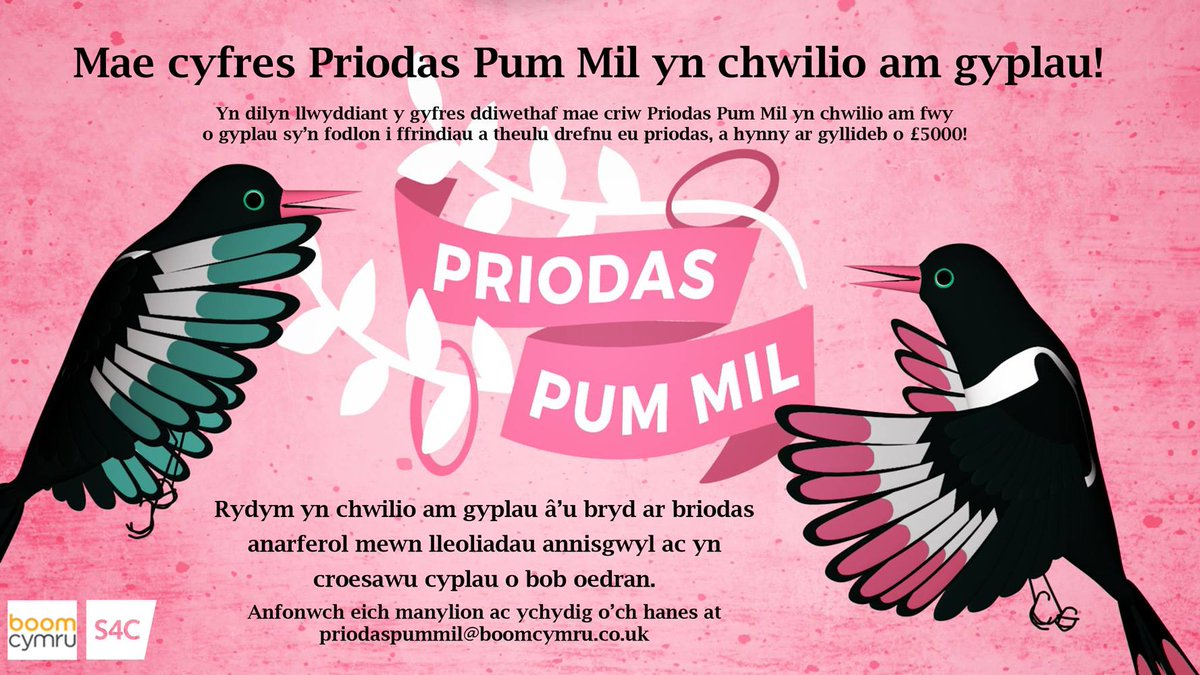 DYMA’CH CYFLE OLAF!!

Yn dilyn llwyddiant y gyfres ddiwethaf mae criw Priodas Pum Mil yn chwilio am fwy o gyplau sy’n fodlon i ffrindiau a theulu drefnu eu priodas, a hynny ar gyllideb o £5000.

Anfonwch eich manylion ac ychydig o’ch hanes at priodaspummil@boomcymru.co.uk <a href="/S4C/">S4C 🏴󠁧󠁢󠁷󠁬󠁳󠁿</a>