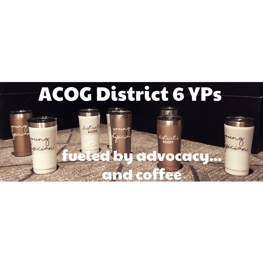 ACOG_Sask's tweet photo. CLC Advocacy Training! @ACOGD6 #ACOGYP #ACOGCLC https://t.co/BJCBWA8iOD