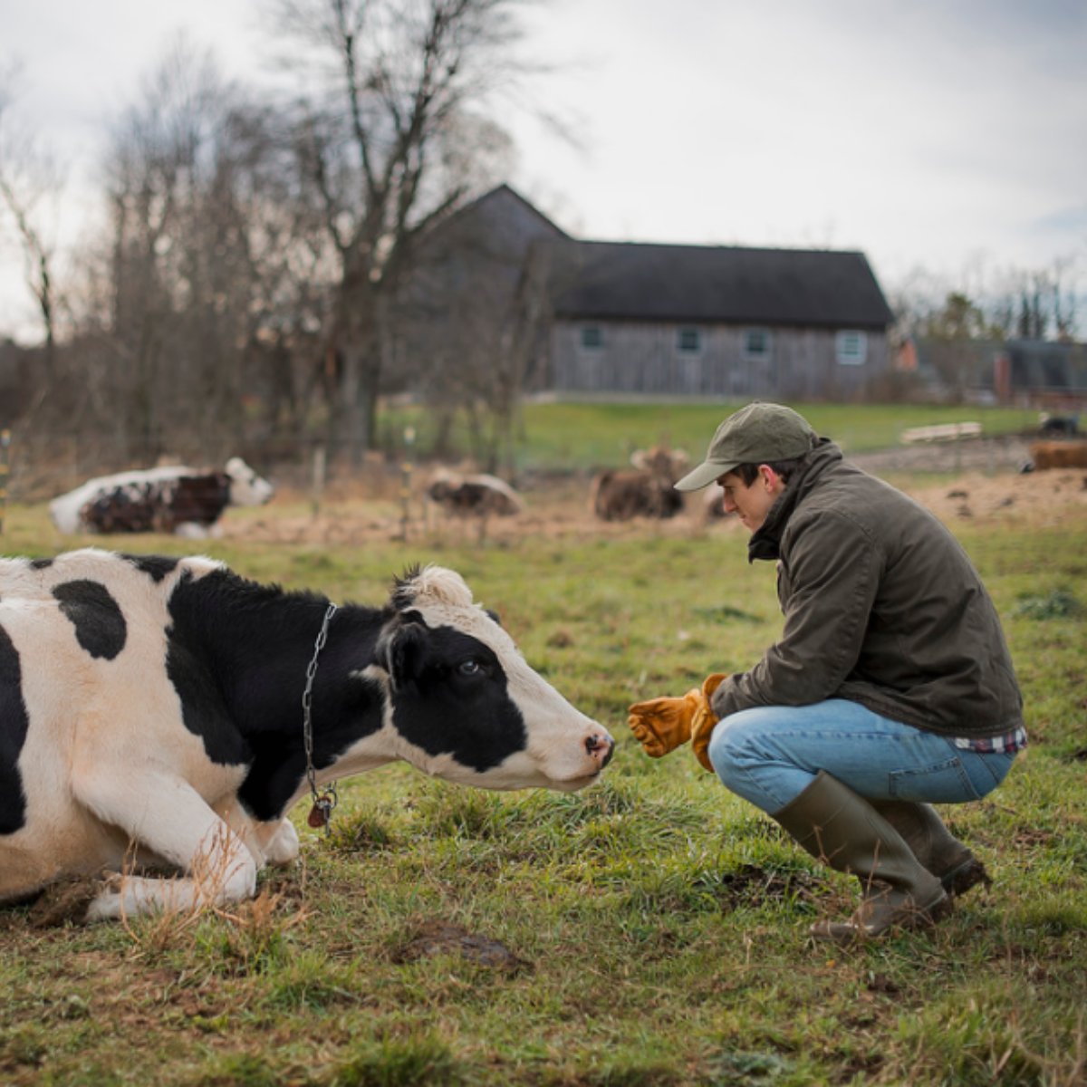 Responsible and sustainable aren't just buzzwords on our farm -- it's what we live by.
