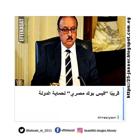 قريبًا "فيس بوك مصري" لحماية الدولة