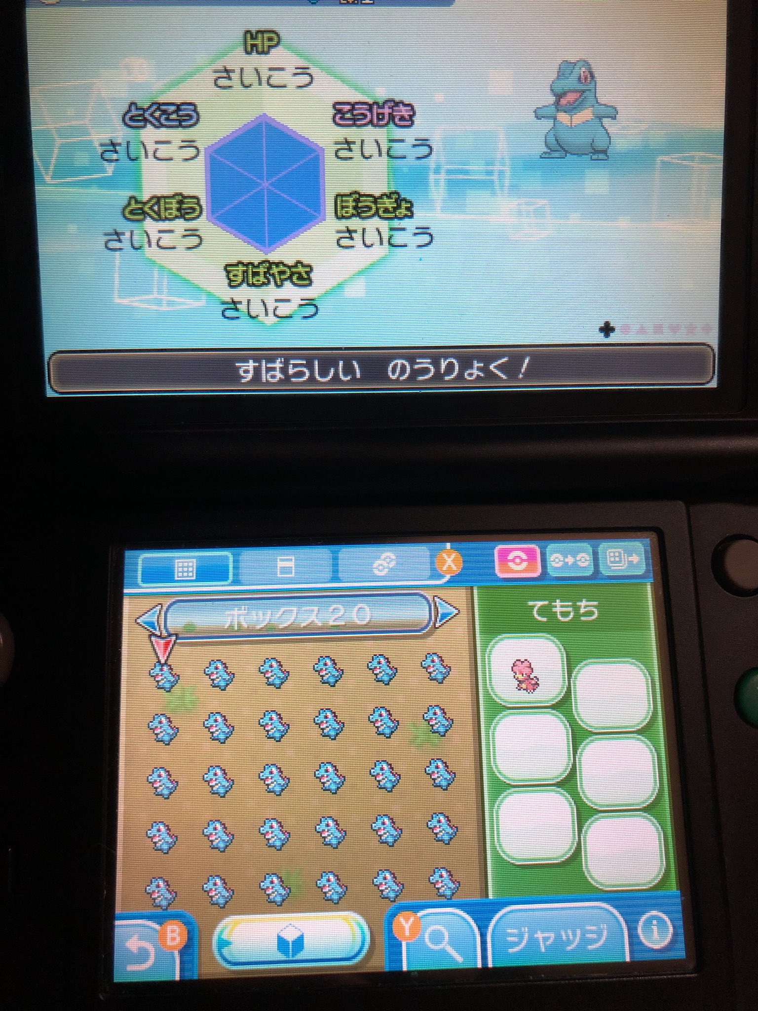 紅丸ポケモン垢 Nsrq9q9p6wlruvk Twitter