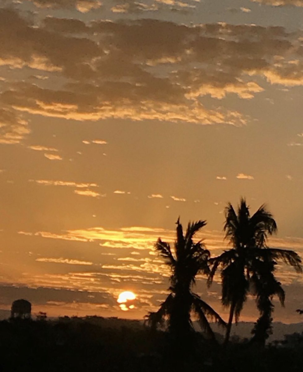 Matty Dilliard tweet media