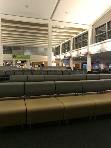 TheHelloFound's tweet photo. Safe and happy travels to all our tele-therapist headed out for their on-site weeks! ✈️ 🚊 🚙 🚣 #telepractice #telepracticeslp #teletherapy #travelSLP #schoolpsych #schoolpsychologist #trainplaneortaxicab https://t.co/LLgGNJ4npB
