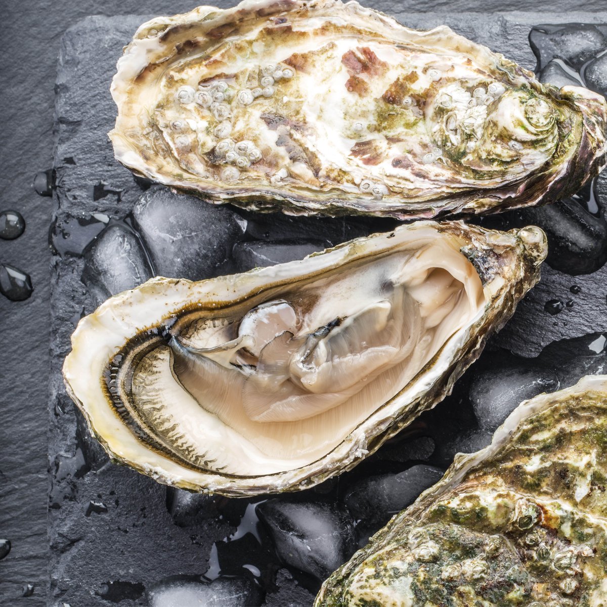SIPwinebar's tweet photo. Have you tried our local oysters yet? Sip with us on Mondays and you can indulge in Oysters on the Half Shell for just $1.50 each! https://t.co/uZyVH74rAe >>
#SipWineBar #Sip #Issaquah #PNW #Seafood #EatLocal #Oysters #GrandRidgePlaza #IssaquahHighlands https://t.co/W9obgxgGeR