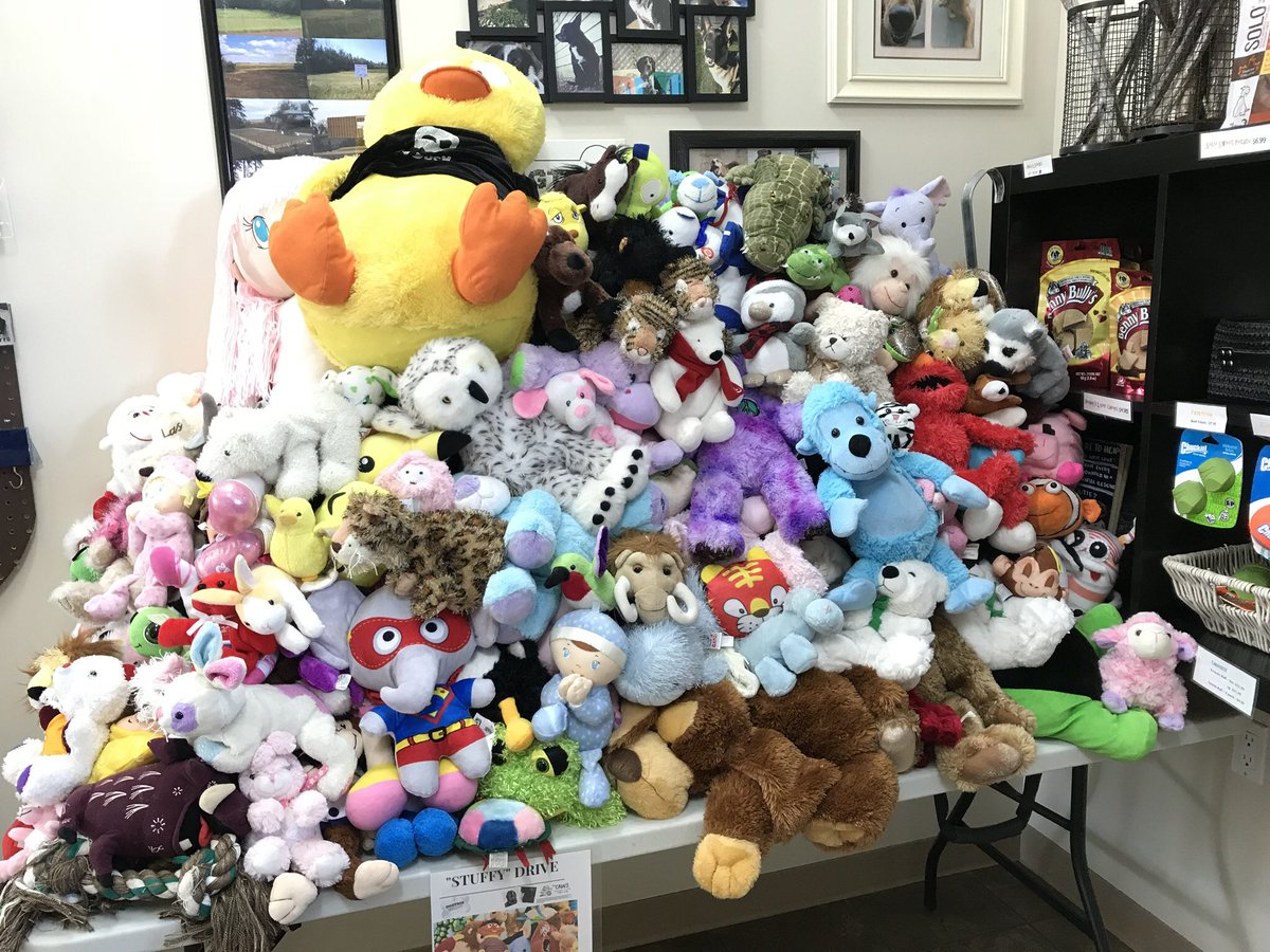 dogtrixinc's tweet photo. @RobynHammond10 Check out all these #stuffys from our 5 year olds “Stuffy Drive” @dogtrixinc https://t.co/XWdzoFfVVc