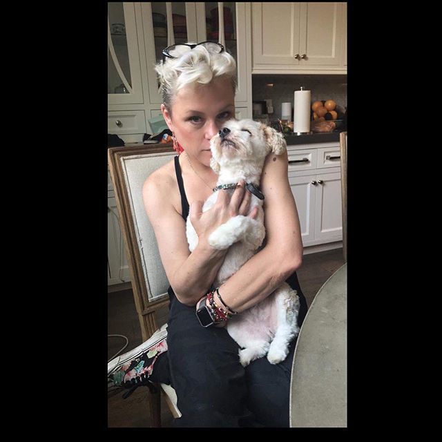 celisemccarthy's tweet photo. When your friend’s #cotondetulear makes you feel so loved! Look at Popcorn’s blissful face!! I❤️🐾him. #cotondetuléar #cotondetulearsofinstagram #🐾❤️🐾 #ilovedogsmorethanpeople https://t.co/Z6wxzSRZu3 https://t.co/cHihWvNGNb
