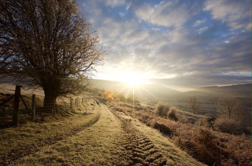nspugh's tweet photo. My 2nd blog post for @CoedCadw

'Sustainable Land Use for Future Generations' Around 75% of the UK's land is managed for food production! 

Isn't it time to start #farmingwithtrees or implementing #agroforestry in #Wales? #ActonClimate #naturelovers 

https://t.co/RtKv4o5sr1 https://t.co/pNddF5GCU1