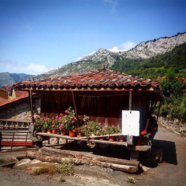 Fani_Ruilo's tweet photo. Hórreo en Asturias. 
#asturia #turismo #viajarabrelamente #turismorural #horreos #viajar #turismoespaña https://t.co/yD6UMm6e5U https://t.co/bRMqejNh53