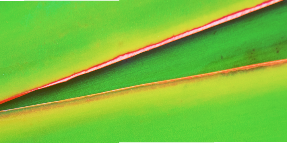 intuitiveCS tweet picture