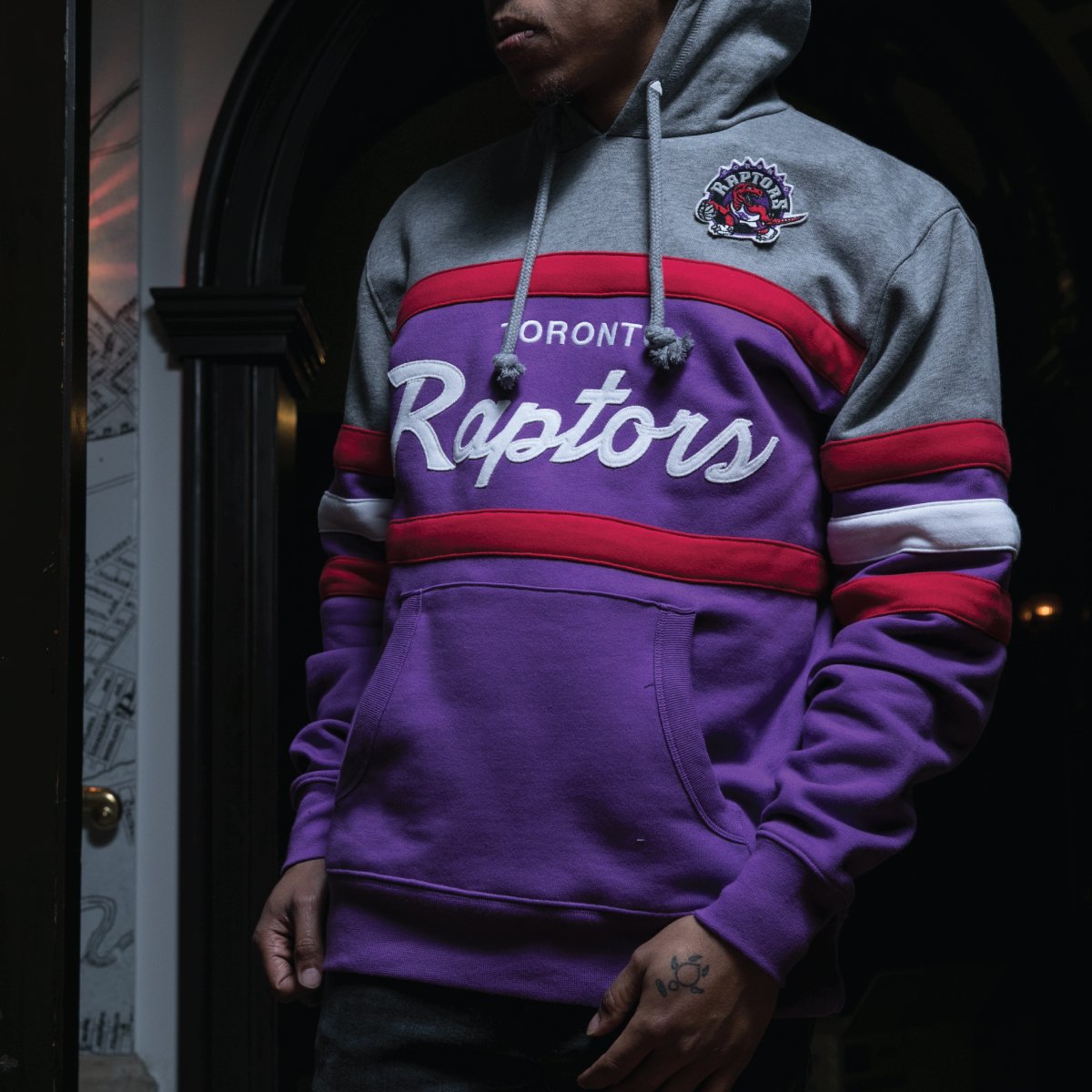 purple raptors hoodie