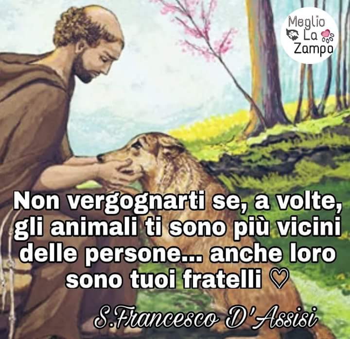 bralella09's tweet photo. una bella lezione di vita
tanti dovrebbero metterlo in atto 😺 https://t.co/SATZpsK7hT