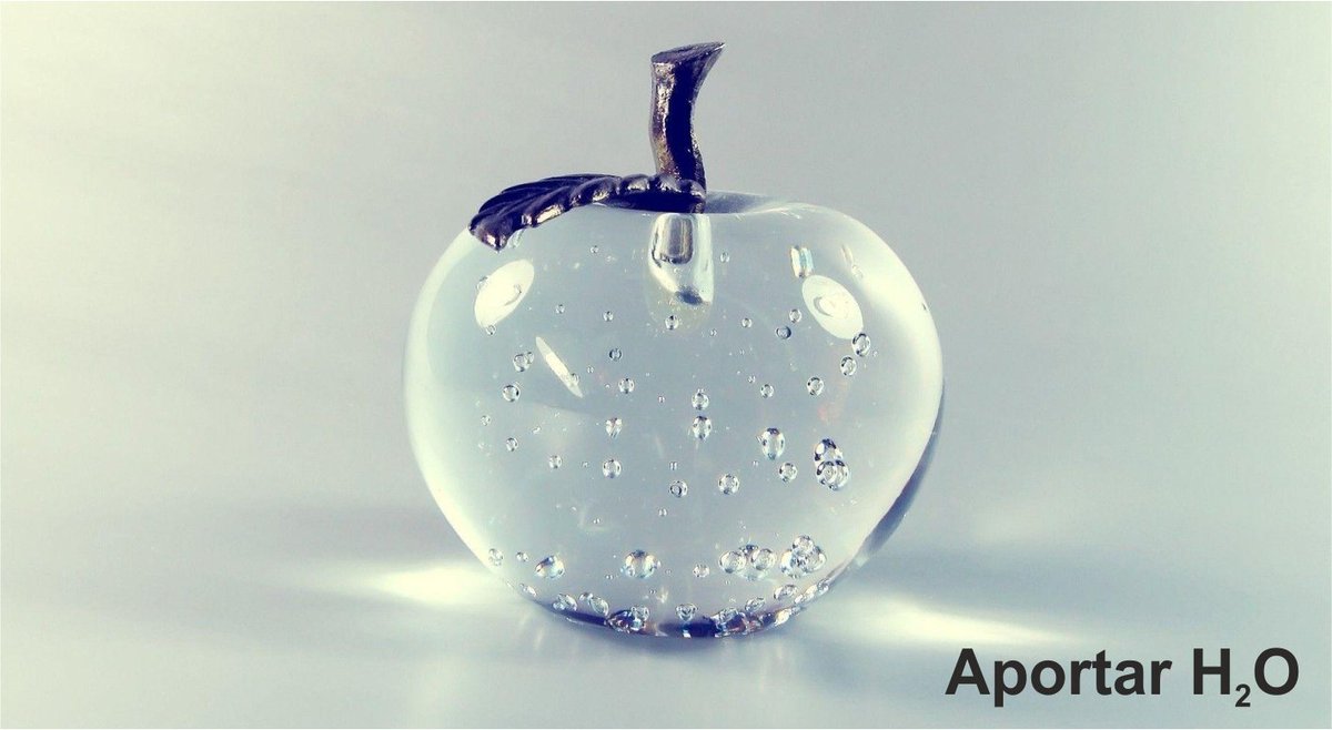 iservia's tweet photo. Desde hoy al próximo dia 22/03 a las 17:00 este post está participando en el concurso de #BlogsDMAgua 2018 de @iagua

REGAR, natural como el agua. 💦

Si te gusta puede hacer un like 💙  y/o compartir.

https://t.co/5XNGfDJUwC https://t.co/ftBQ20w5PG