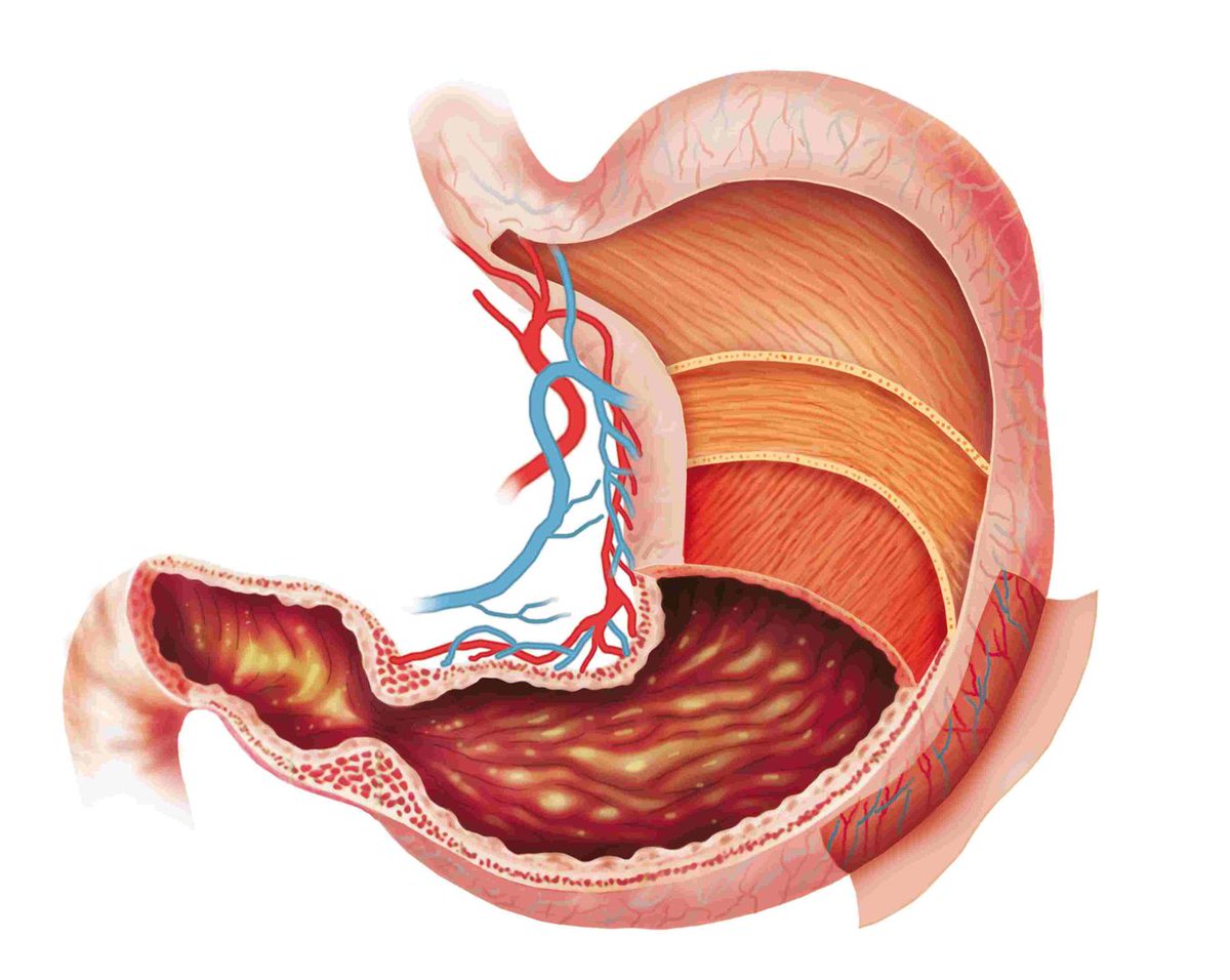BiologyAnswers tweet picture