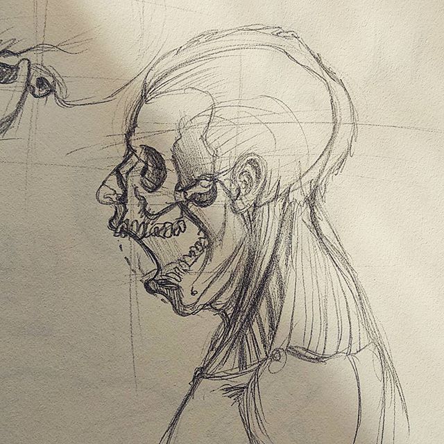 GravStudio_com's tweet photo. Hoy práctica, entendiendo como pivota la mandíbula. #anatomy #mandibule #sketching #drawing #skin #zombie #realbones #fbtw #study #skull #walkingdead #skulldrawing #imagination https://t.co/DeG8O2KxYf