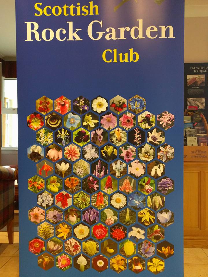 ScottishRockGC's tweet photo. @Alpinegardensoc @EdromNursery @HartsideNursery @HarperleyHallFa @KevockGarden @PottertonRob @summerdalegn All Welcome to Kendal Plant Show 17th March - Kirkbie Kendal School 10am - 3.30pm https://t.co/ZTReTwcuf4