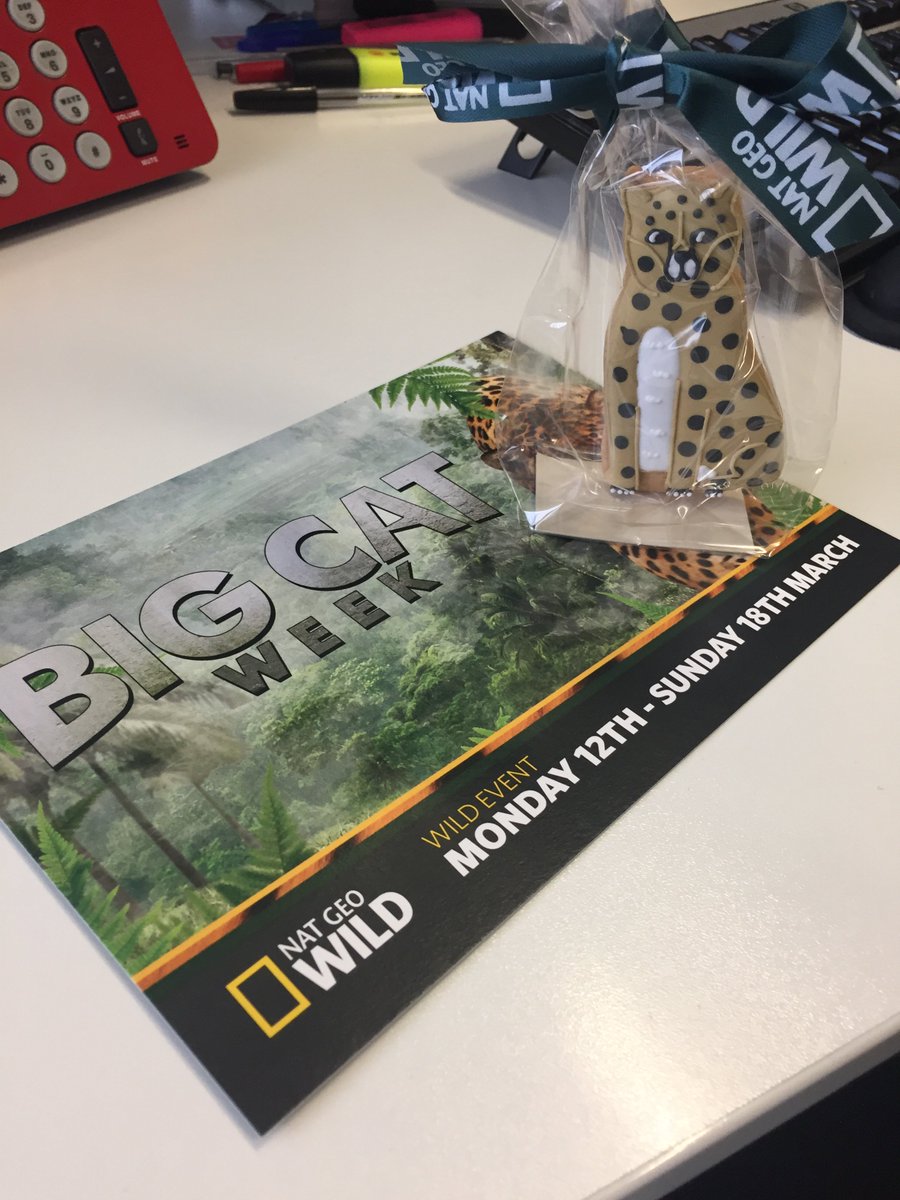 SunTVMagazine's tweet photo. @NatGeoUk know just what we need at the end of a long Monday...#bigcatweek gingerbread https://t.co/1OCAP7skHM