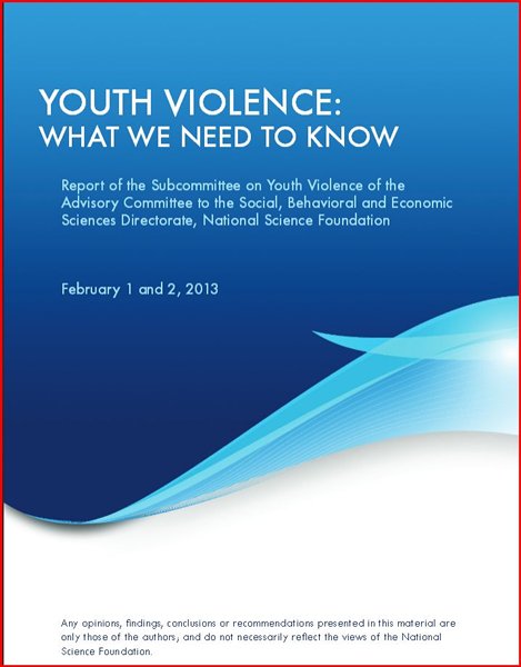 Let's hope that Betsy DeVos and her new commission pay attention to our 2013 NSF report on youth violence, including school shootings. The inconvenient truth is already in a government report!
