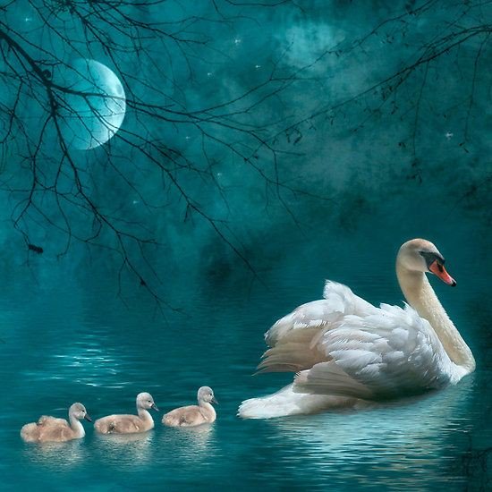 ljV7msSopds8ohc's tweet photo. Καλο βραδυ με αγαπη 💖💖💖💖
Καλο ξημερωμα Τριτης 🌘🛌😍
Φιλαρακια μου 😍💖💋🌷🙋‍♀️🌹💋🍫💖💖💖💖💖💖💖💖💖💖 https://t.co/LkTqfYt99i