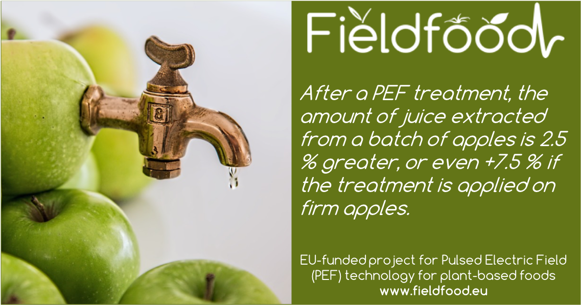 FieldFOOD_H2020's tweet photo. Learn how PEF-technology can increase the yiled of your food processing lines at the @anugafoodtec! For more information visit https://t.co/4qrXbSArdI   #FoodTech #FoodInnovation #electroporation #pulsedelectricfield https://t.co/XbdUuPEeAN