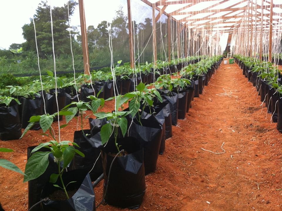 SCJHOLDINGSLTD's tweet photo. Our Vision "To become a premier global land management company" Learn More https://t.co/YvStaHWLLj https://t.co/LAmdunyKeh